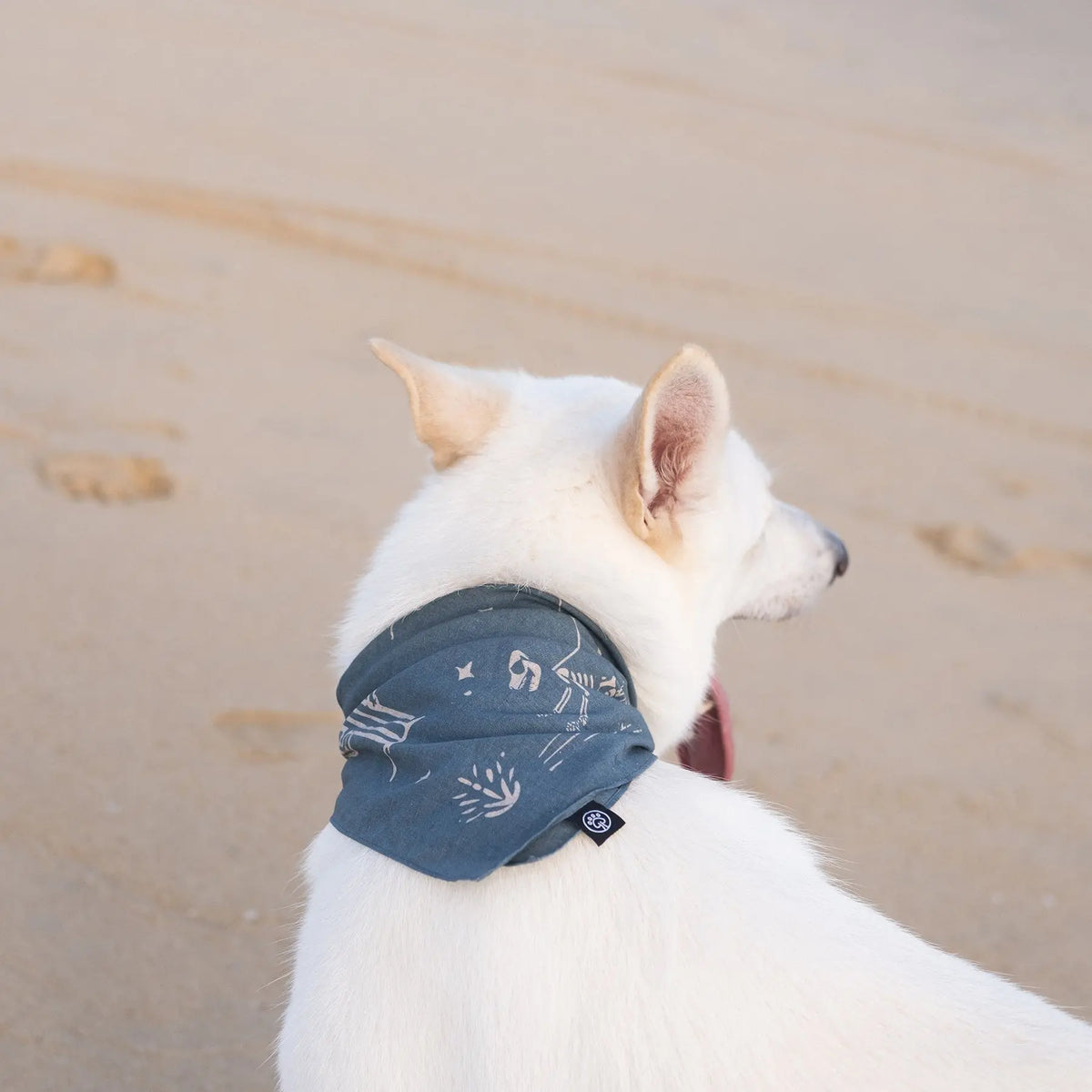 Bandana para cão Night Patrol Mezkui