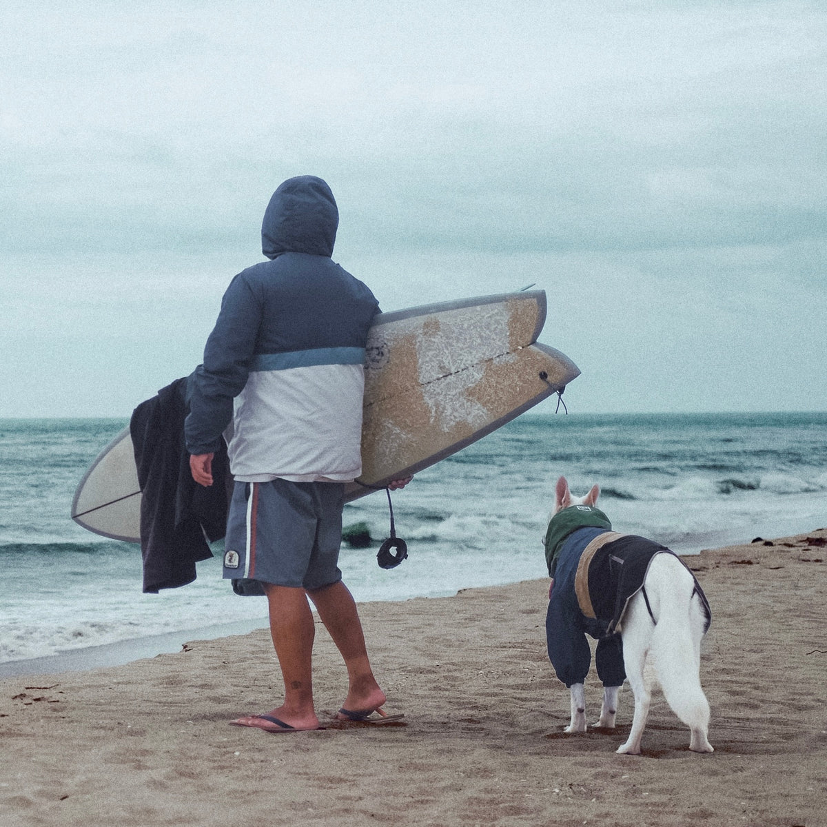 Casaco impermeável para cão Baja Coastline MEZKUI
