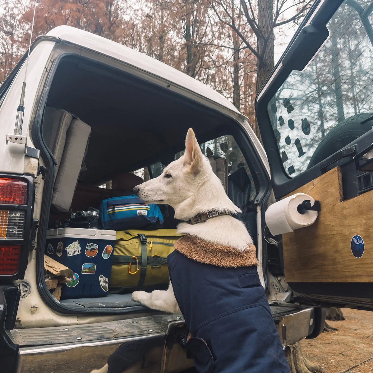 Casaco quente e elegante para cão com gola forrada a sherpa, mantendo os cães quentes em caminhadas e acampamentos.