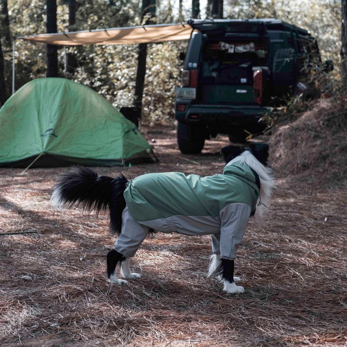 Cão com impermeável Havasu num parque de campismo, com uma tenda e um veículo todo-o-terreno ao fundo, a mostrar equipamento de aventura para cães.
