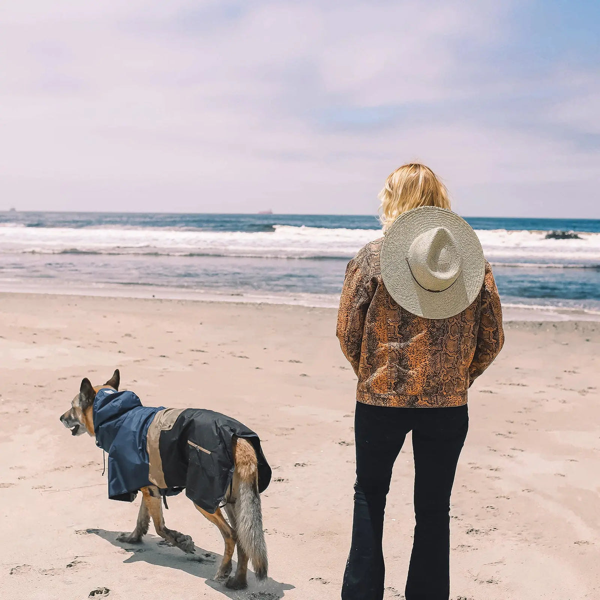 Um cão com o Baja Coastline Dog Raincoat azul e castanho-claro ao lado de uma pessoa na praia.