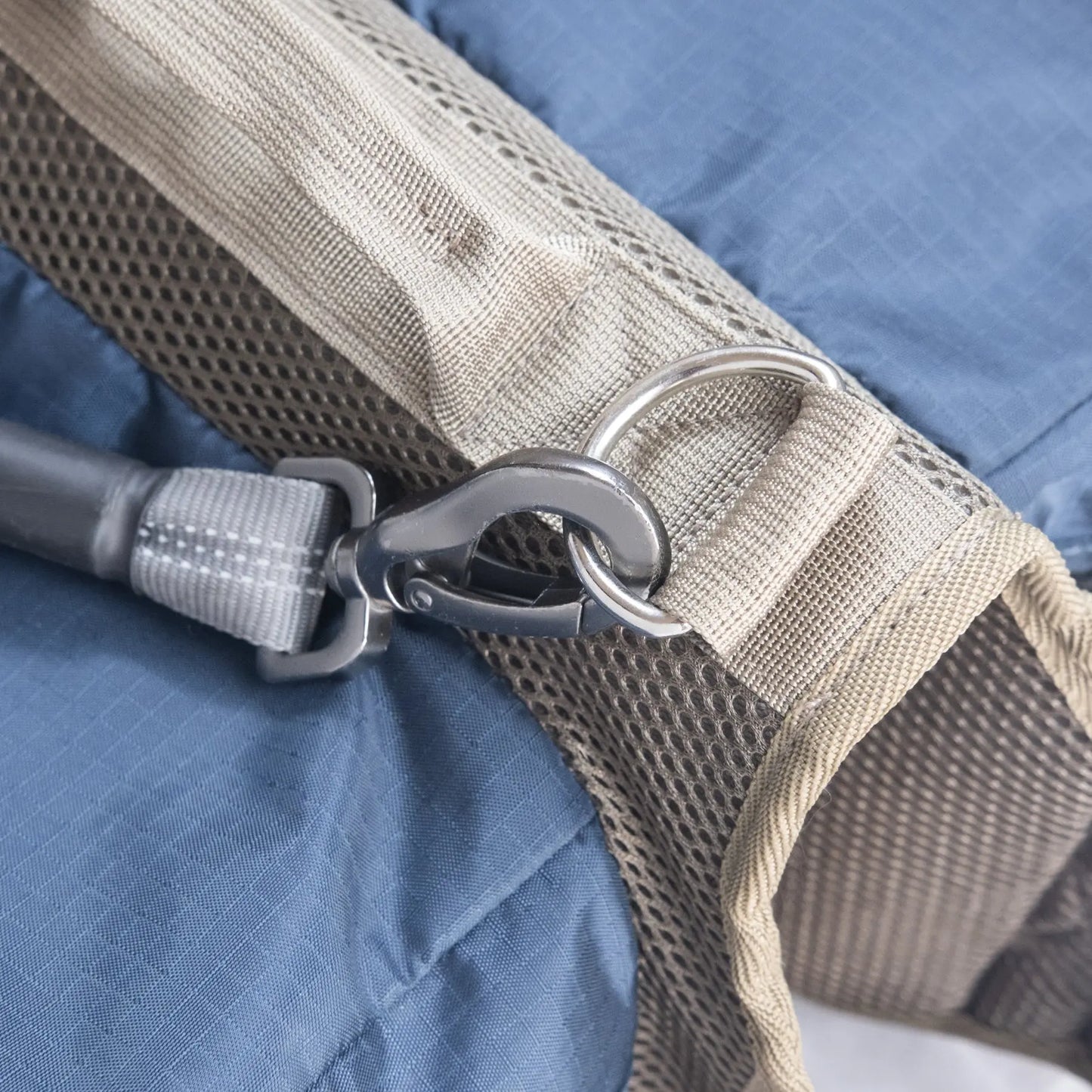 Dog backpack design with secure metal D-ring for leash attachment