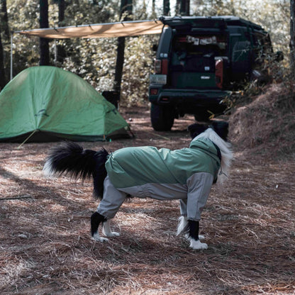 Cão com impermeável Havasu num parque de campismo, com uma tenda e um veículo todo-o-terreno ao fundo, a mostrar equipamento de aventura para cães.