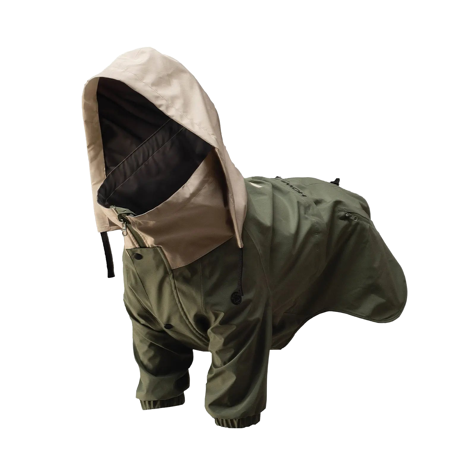 Cão com fato impermeável de corpo inteiro e capuz, visto em ângulo, destacando vestuário impermeável e protetor para o exterior.