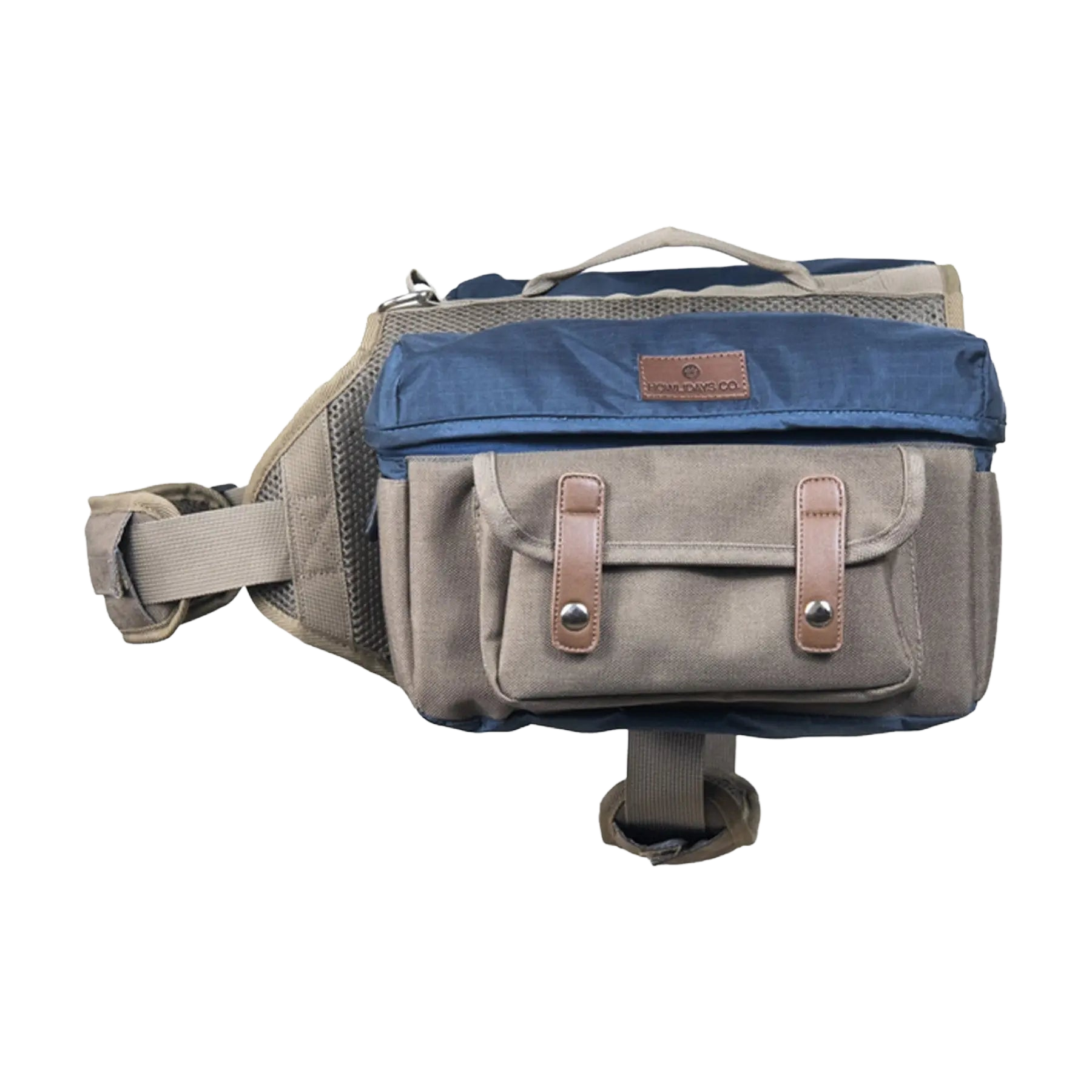 Cactus Creek dog backpack front view displaying style and functional pockets